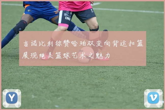 吉诺比利称赞哈珀双变向背运扣篮展现绝美篮球艺术之魅力